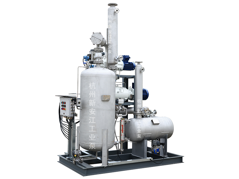 集成化羅茨螺桿真空系統(tǒng)，高效穩(wěn)定，勝任復(fù)雜苛刻工藝-杭州新安江工業(yè)泵有限公司